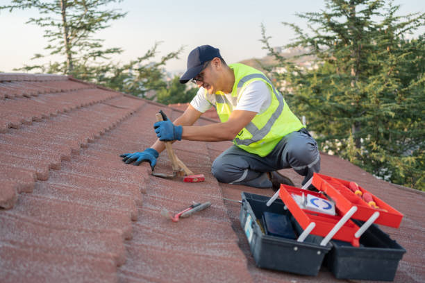 Best Roof Gutter Cleaning  in Tylertown, MS