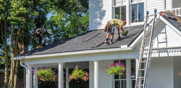 Roof Gutter Cleaning in Tylertown, MS